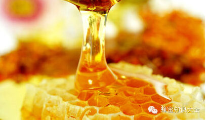 白醋加蜂蜜 新溪岛儿童蜂蜜 养蜂蜜创业 蜂蜜水和小葱 蜂蜜如何鉴定真假