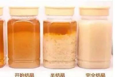 蜂蜜可以治疗咳嗽吗 野蜂蜜多少钱一斤 ora麦芦卡蜂蜜好吗 晚上喝蜂蜜水好吗 没有腥味的蜂蜜不好是吗