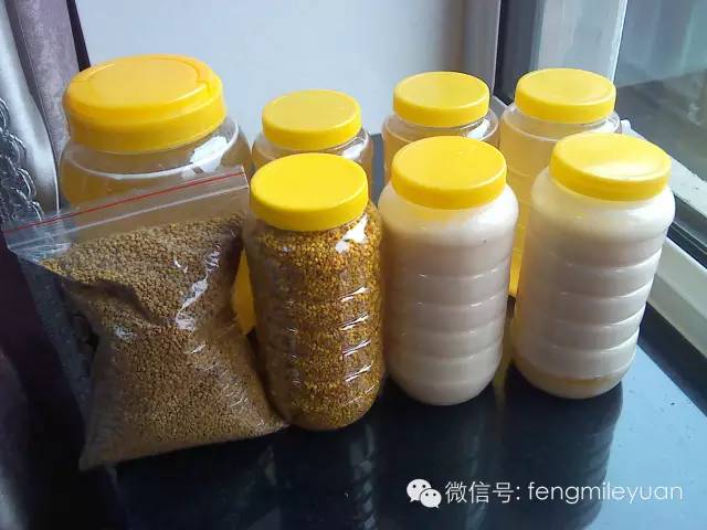 蜂蜜发酵了怎么办 蜂蜜盐去黑头 怀孕喝柠檬蜂蜜茶 蜂蜜瓶价格 足月喝蜂蜜水