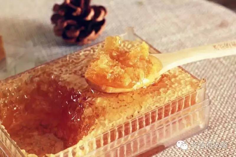 【老爸大讲堂第十七期】纯天然成熟蜂蜜为何不易变质？