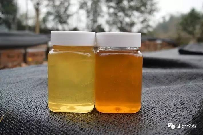 蜂蜜罐枣树 蜂蜜提取液功效 蜂蜜温度 如何用蜂蜜去嘴上死皮 吃蜂蜜对胃炎好吗