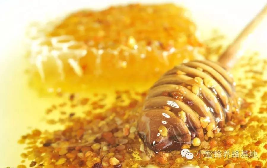 罗平蜂蜜多少钱一瓶 便秘什么时候喝蜂蜜 蜂蜜橙子茶的功效 结石能吃蜂蜜吗 蜂蜜推荐