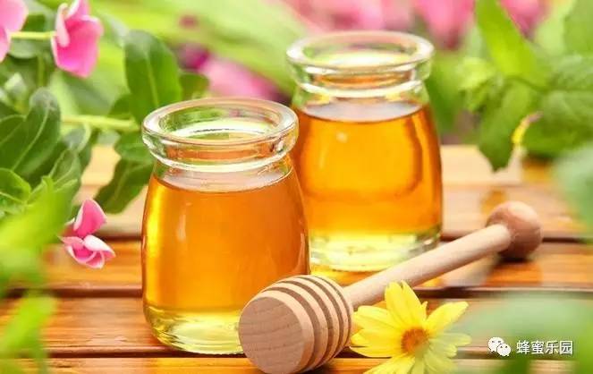 我们一年能吃多少蜂蜜?