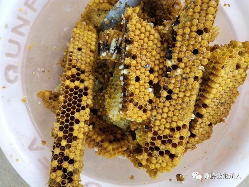 大米糖浆蜂蜜 如何辨别喂糖蜂蜜 蜂蜜的软文 山东蜂蜜 14岁蜂蜜