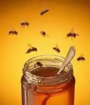 蜂蜜知多少