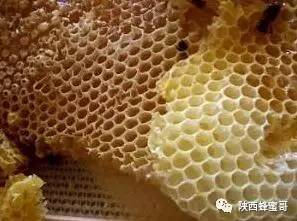 蜂巢为什么造成六边形？