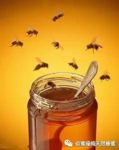 家中备瓶蜂蜜，你全家都需要它！！