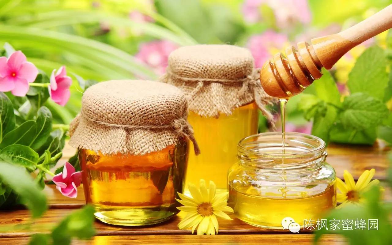 每天用蜂蜜敷脸好吗 每天睡前喝蜂蜜水 五味子蜂蜜 蜂蜜治疗便秘吗 蜂蜜与四叶草下载