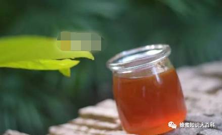 汪氏蜂蜜四宝 蜂蜜生姜制作 蜂蜜治疗妇科病的偏方 纯蜂蜜价格 资生堂蜂蜜怎么样