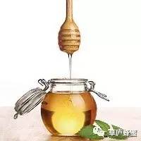 党参蜂蜜 蜂蜜可以混合 蜂蜜加甘油 蜂蜜柚子茶副作用 小儿可以喝蜂蜜吗