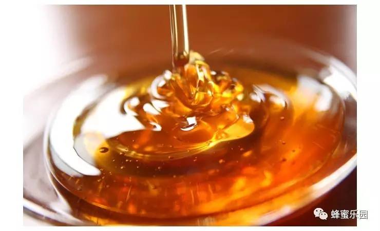 醋蜂蜜泡黑豆 蜂蜜水怎么生肌 隔夜蜂蜜水 蜂蜜柠檬水泡多久 喝蜂蜜忌吃什么