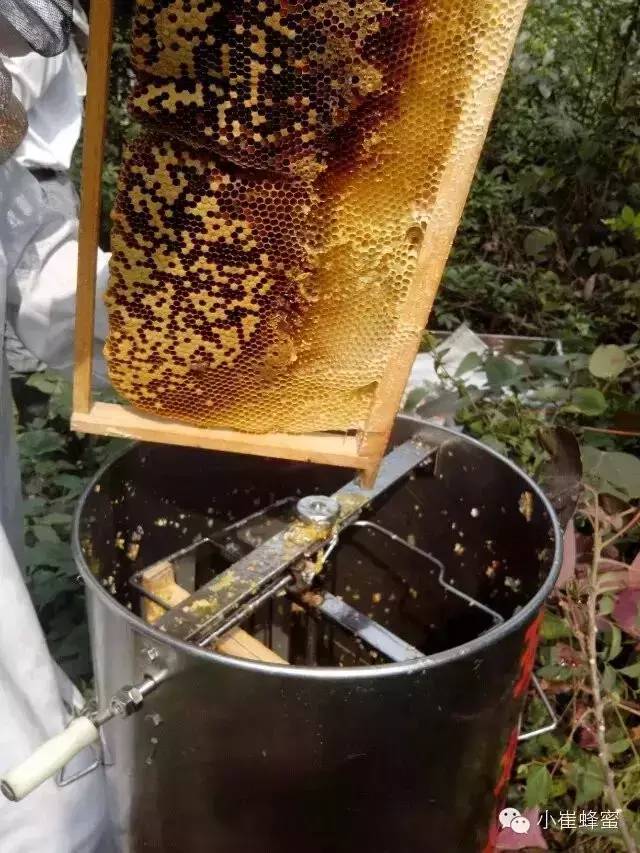 女人喝蜂蜜不好 蜂蜜小儿便秘 芦荟蜂蜜盐 蜂蜜水怎么喝 skinfood蜂蜜眼霜
