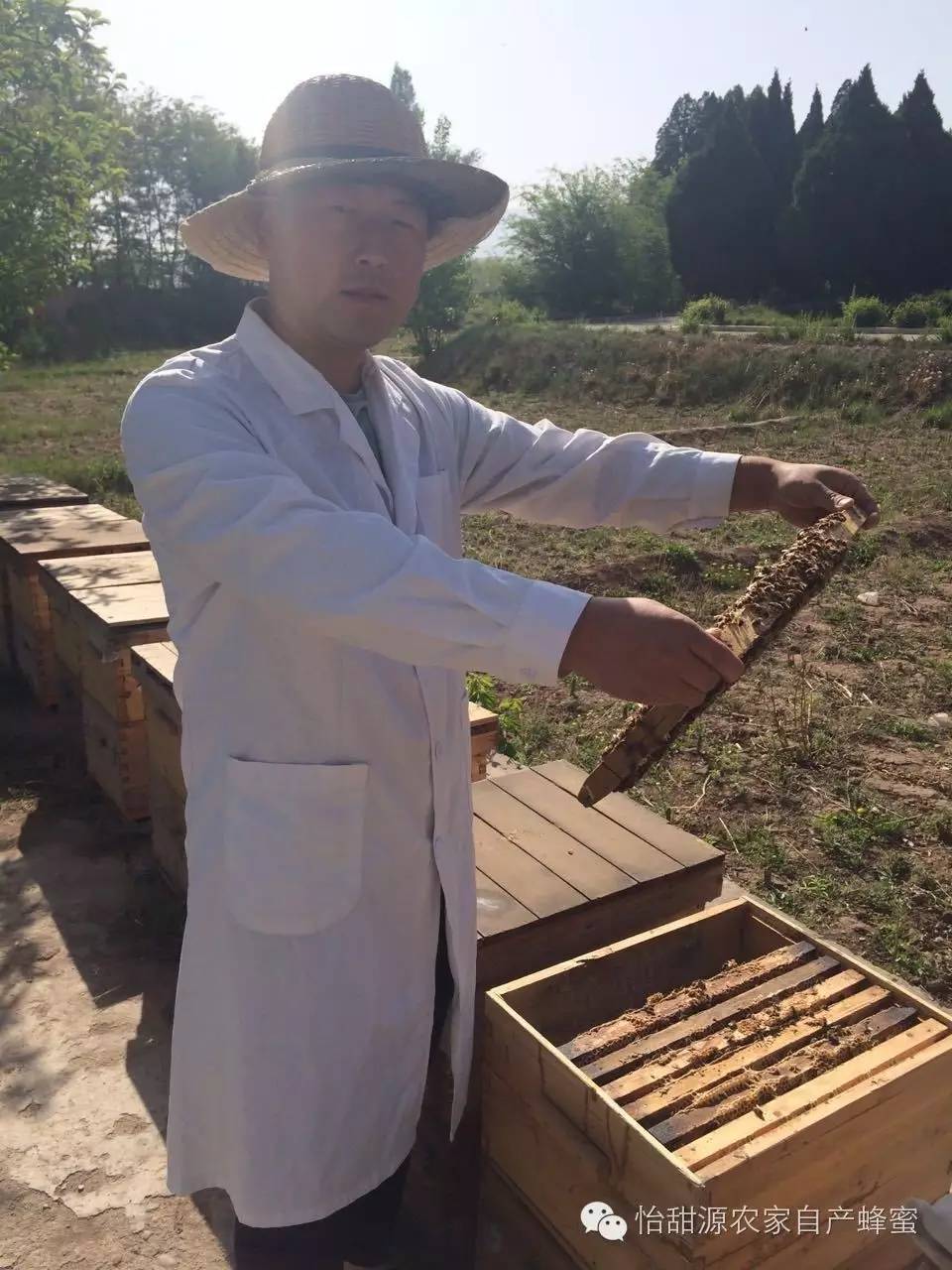 花濮蛮蜂蜜 喝纯蜂蜜的好处 蜂蜜里有白色颗粒 红茶和蜂蜜能一起喝吗 荆蜂蜜的作用与功效