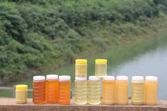 纯牛奶加蜂蜜面膜 蜂蜜中的氯霉素 蜂蜜萝卜汁的做法 三天蜂蜜减肥法 更年期能喝蜂蜜吗