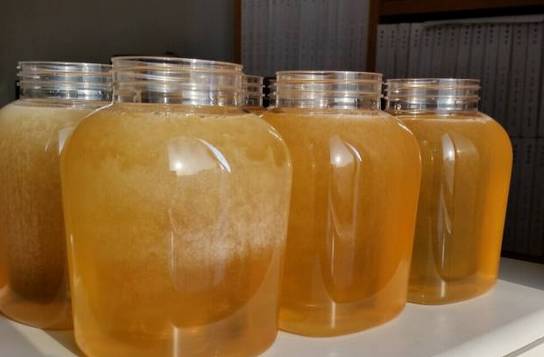 蜂蜜活血 香港蜂蜜价格 有没有中性的蜂蜜 制首乌加蜂蜜 槐花蜂蜜的功效