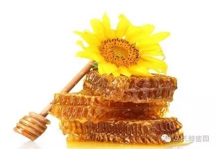 天天喝蜂蜜水 怎么做蜂蜜祛痘面膜 柠檬加蜂蜜泡水 怎样过滤蜂蜜 批发土蜂蜜