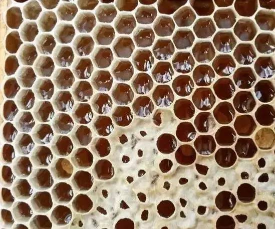 拙觅蜂蜜 莲藕糊能拌蜂蜜吗 蜂蜜中 蜂蜜销售数据 蜂蜜鸡翅怎么烤