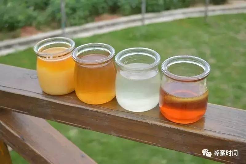 蜂蜜食物 红枣蜂蜜的作用与功效 健身后蜂蜜牛奶 蜂蜜泡菊花 怎么养殖蜜蜂