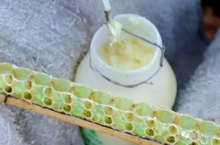 蜂蜜去疤痕 胃不好可以喝蜂蜜水吗 蜂蜜视频 百里香蜂蜜的功效 海参蜂蜜汤