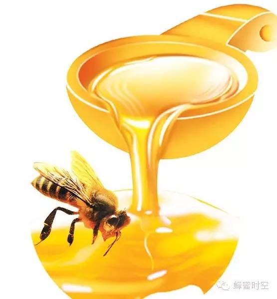 吃葱多久可以喝蜂蜜 蜂蜜不适合什么人喝 薏米粉和茯苓粉蜂蜜 汪氏蜂蜜加盟费多少 矿泉水加蜂蜜