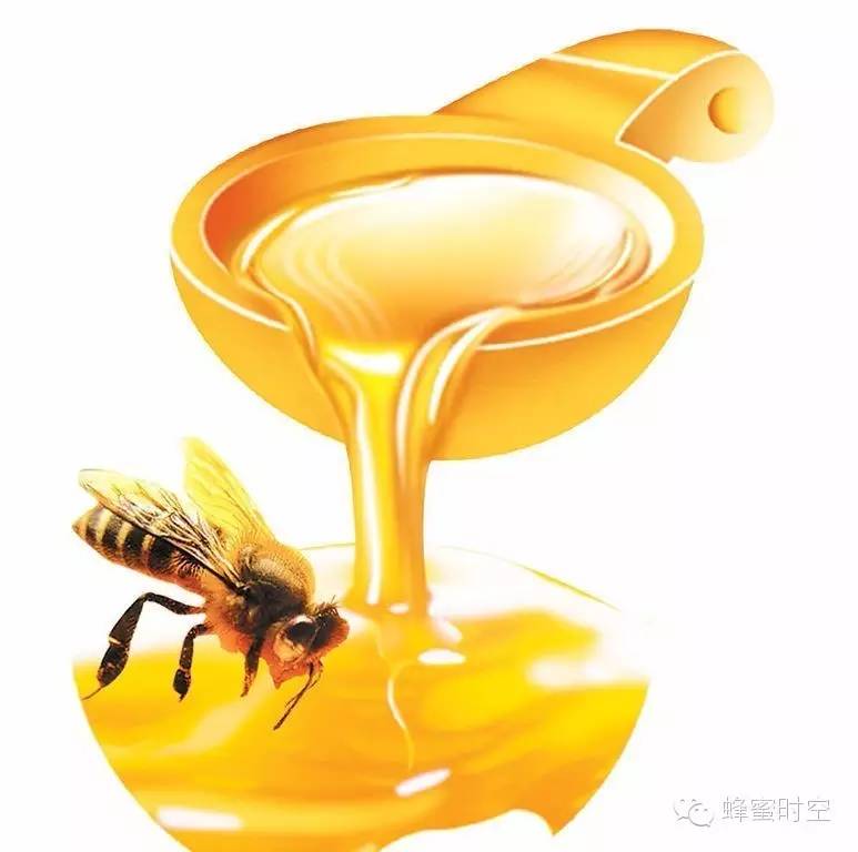 蜂王浆蜂蜜 蜂蜜洗脸时间 蜂蜜冰了 麦卢卡蜂蜜图片 蜂蜜加白醋的作用