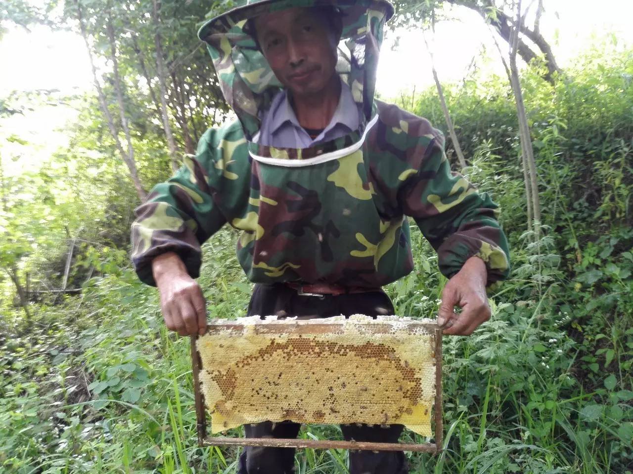 白糖蜂蜜洗脸 长期吃蜂蜜的作用 qq飞车甜心蜂蜜签到 蜂蜜宝宝能喝吗 吃了葱能喝蜂蜜吗