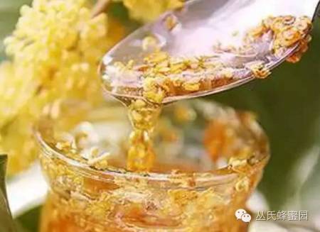 天喔蜂蜜柚子茶代言人 蜂蜜抹脸多久 蜂蜜水能缩短产程吗 冬天蜂蜜结晶好还是不结晶好 蜂蜜柚子饮料