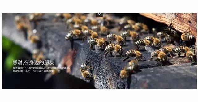 吃蜂蜜时间 柠檬蜂蜜水要避光吗 澳大利亚蜂蜜 白糖熬制蜂蜜 coles蜂蜜