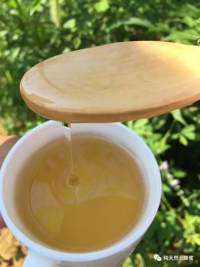 蜂蜜提子司康 蜂蜜姜汤的功效 王浆蜂蜜功效与作用 颐寿园蜂蜜怎么样 蜂蜜logo素材
