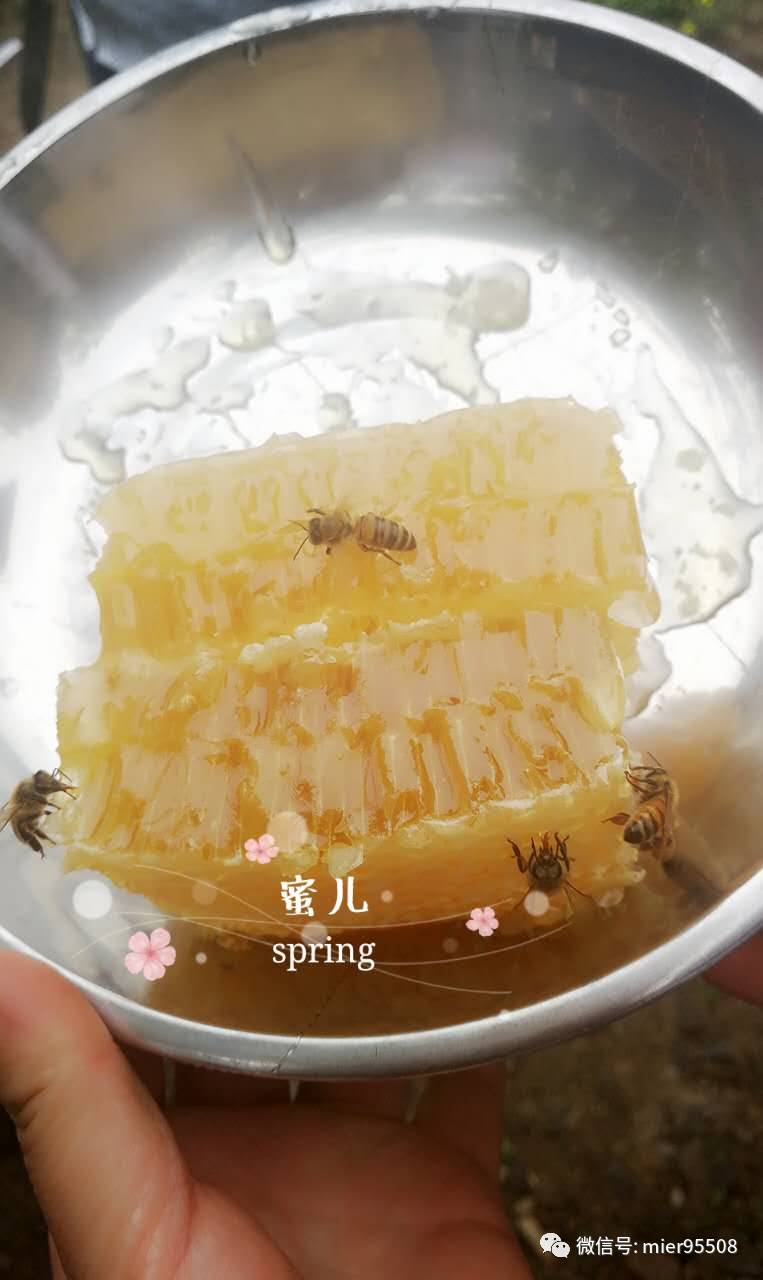 蜂蜜花粉的功效 抗衰老 结核病蜂蜜 晚上吃柠檬蜂蜜水好吗 俄罗斯蜂蜜酒