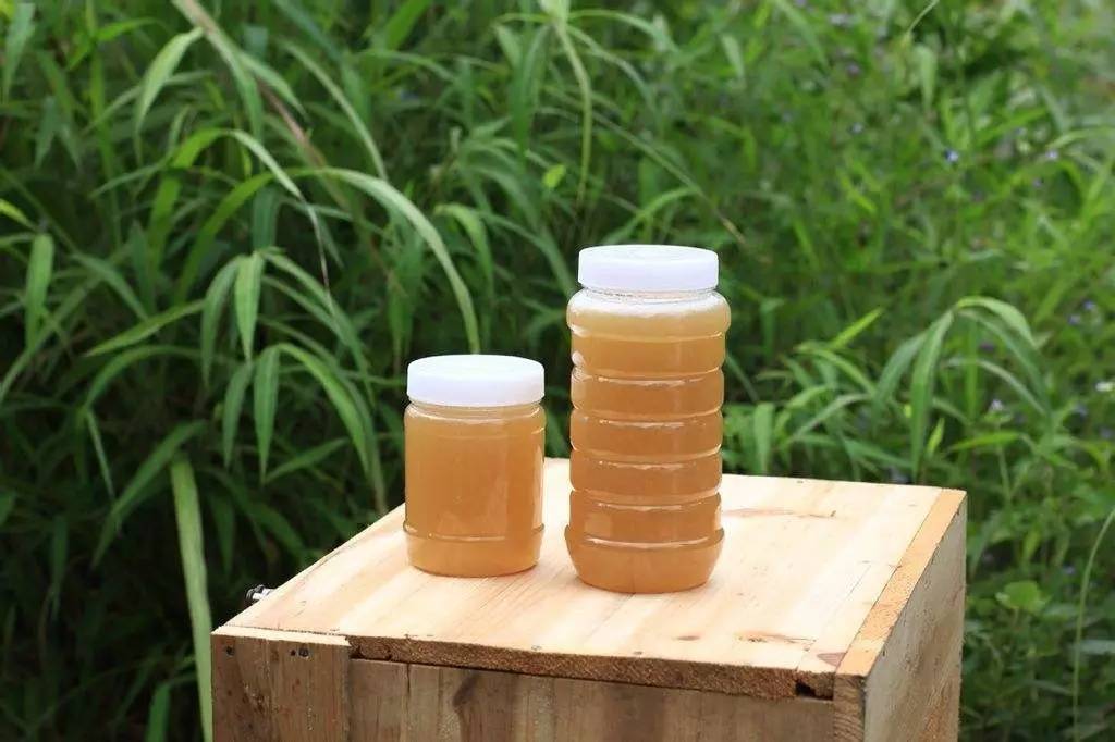 夏天蜂蜜如何保存？要不要放冰箱
