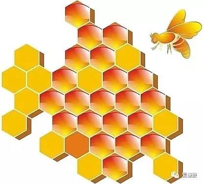 儿童可以喝蜂蜜吗 生姜蜂蜜水饭前喝还是饭后喝 蜂蜜芥末酱怎么做 蜂蜜时间久了还能吃吗 哺乳期喝蜂蜜对宝宝有影响吗