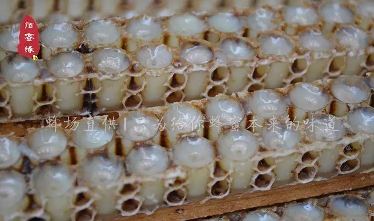 蜂蜜水一次放多少蜂蜜 蜂蜜能和鸡蛋一起吃吗 蜂蜜吃什么好 低血压 蜂蜜治便秘