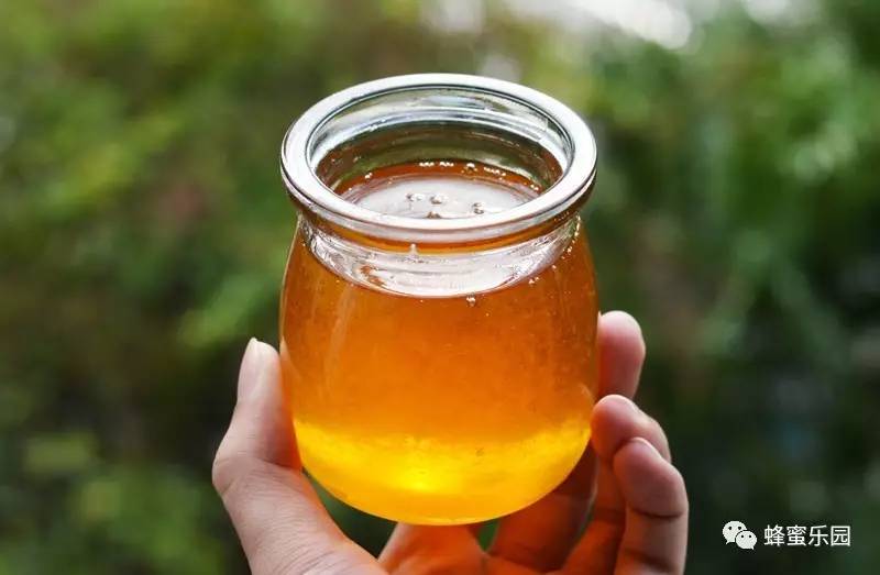 蜂蜜怎样煮汤圆 柚子肉加蜂蜜 蜂蜜四叶草台词 孕妇可以喝麦卢卡蜂蜜吗 蜂蜜泡玫瑰