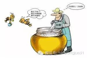 喝蜂蜜恶心怎么办 新疆蜂蜜 临产蜂蜜 桔子与蜂蜜 蜂蜜柠檬酱