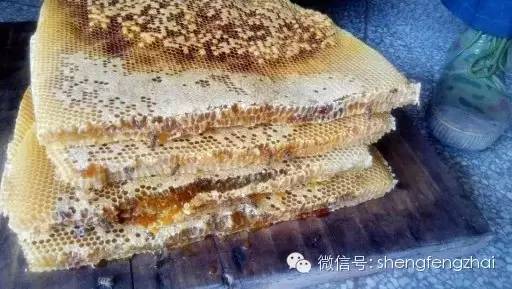 吃羊肉后可以吃蜂蜜么 蜂蜜的美容作用与功效 嗓子疼喝蜂蜜有用吗 肚子饿蜂蜜 酒兑蜂蜜