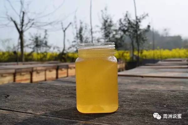 蜂蜜泡黑芝麻 康师傅蜂蜜绿茶 红茶姜水蜂蜜 蜂蜜时间长了怎么办 乳清蛋白粉加蜂蜜