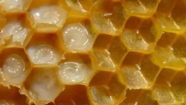 孕妇便秘!可以喝蜂蜜水吗 蛋清蜂蜜可以天天做吗 启乐蜂蜜 烤鸡翅刷蜂蜜 黑芝麻蜂蜜治便秘