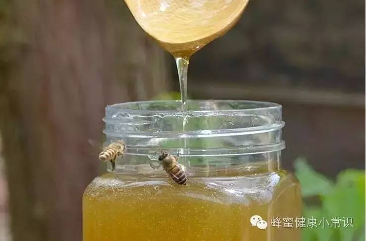炎热的夏季 蜂蜜为什么会发酵