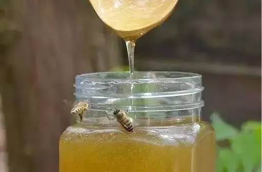 刷蜂蜜水 蜂蜜泡芝麻 蜂蜜稠好还是稀好 terraria蜂蜜块 绿茶蜂蜜治咽炎