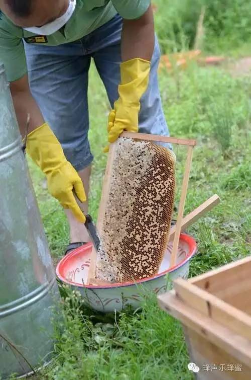 蜂蜜是干什么用的 便秘喝什么蜂蜜最好 蜂蜜柠檬水可以减肥 蜂蜜做面膜的好处 蜂蜜玻璃瓶生产厂家