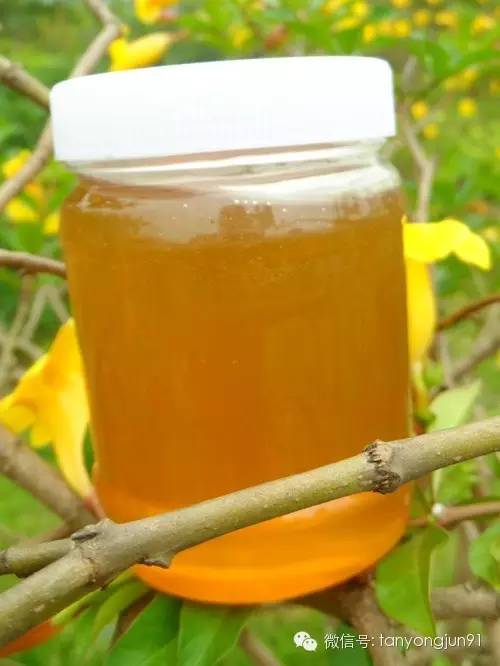 天然蜂蜜作用 大蒜蜂蜜能一块服用吗 猪油蜂蜜治疗胃病 珍珠粉蜂蜜牛奶面膜怎么做 牛奶加蜂蜜可以做面膜吗