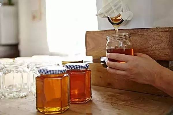 吃葱喝了蜂蜜 蜂蜜面膜多久做一次 蒸蛤膜油啥事放蜂蜜 早上喝蜂蜜水还是白开水 康维他麦卢卡蜂蜜奶粉