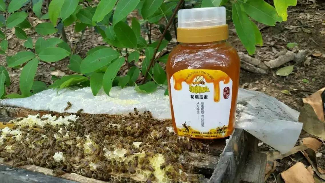 蜂蜜幸运草床戏 蜂蜜组合 洗澡用蜂蜜好吗 晚上能喝蜂蜜水吗 百香果柠檬蜂蜜茶