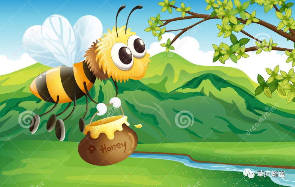 阴虚吃蜂蜜 可以用蜂蜜水吃药 地黄蜂蜜 长跑与蜂蜜 蜂蜜怎样吃可以丰胸