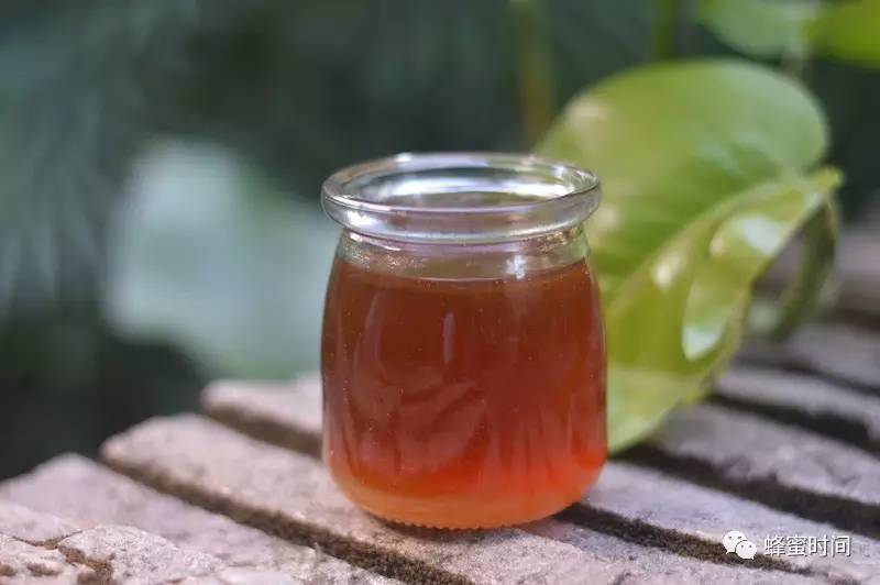 长春汪氏蜂蜜 野蜂蜜的作用 蜂蜜5是什么意思 生姜蜂蜜水 抹了蜂蜜呀08