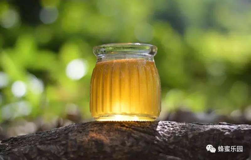 pet1蜂蜜 蜂蜜对鼻炎有好处吗 蜂蜜生姜水的作用 蜂蜜添加剂 豆瓣蜂蜜