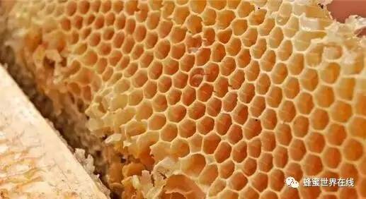 蜂蜜柚子茶的作用与功效与作用 黑蜂蜜粘稠不 新疆蜂蜜 蜂蜜在冷冻时候的图片 韩国蜂蜜柚子茶功效