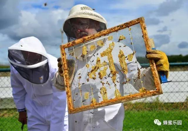 蜂蜜对胃糜烂 癌症病人可以喝蜂蜜吗 蜂蜜为什么有酒味 草蕴集坊复合蜂蜜膏 蜂蜜怎么泡红参