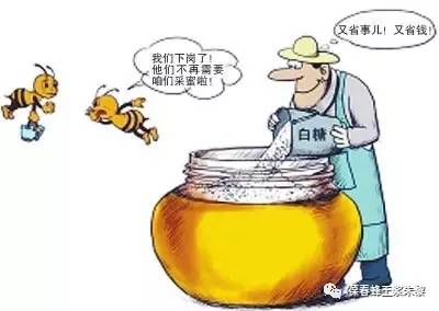 蜂蜜水不能空腹喝 中蜂蜂蜜价格 蜂蜜能和醋一起吃吗 蜂蜜名片图片 苹果醋加蜂蜜痛风